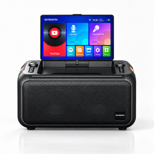 Skyworth Audio P50 Karaoke Machine