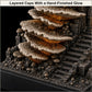 Fungal Ascent Reliquary