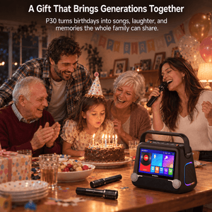 Skyworth Audio P30 Karaoke Machine
