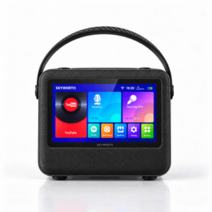 Skyworth Audio P10 Karaoke Machine
