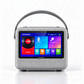 Skyworth Audio P10 Karaoke Machine