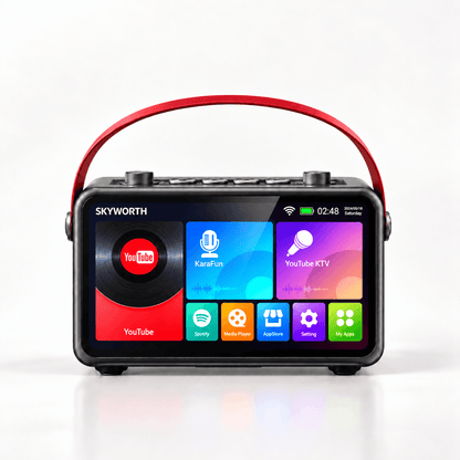 Skyworth Audio P20 Karaoke Machine