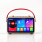 Skyworth Audio P20 Karaoke Machine