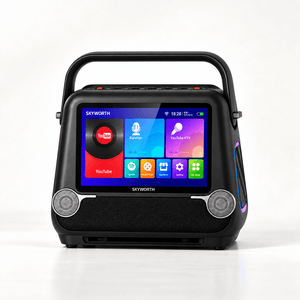 Skyworth Audio P30 Karaoke Machine