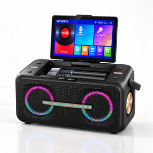 Skyworth Audio P55 Karaoke Machine